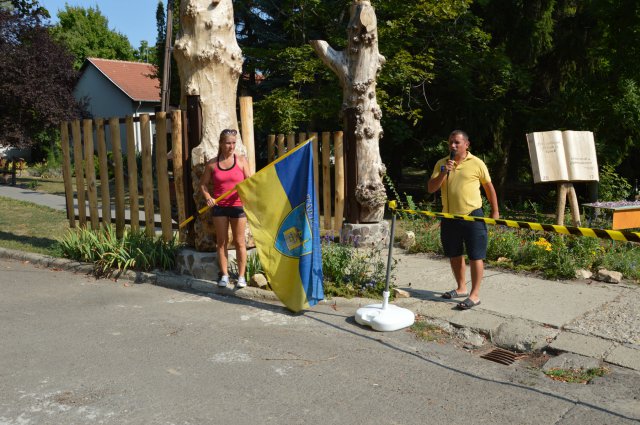 Falunap 2017